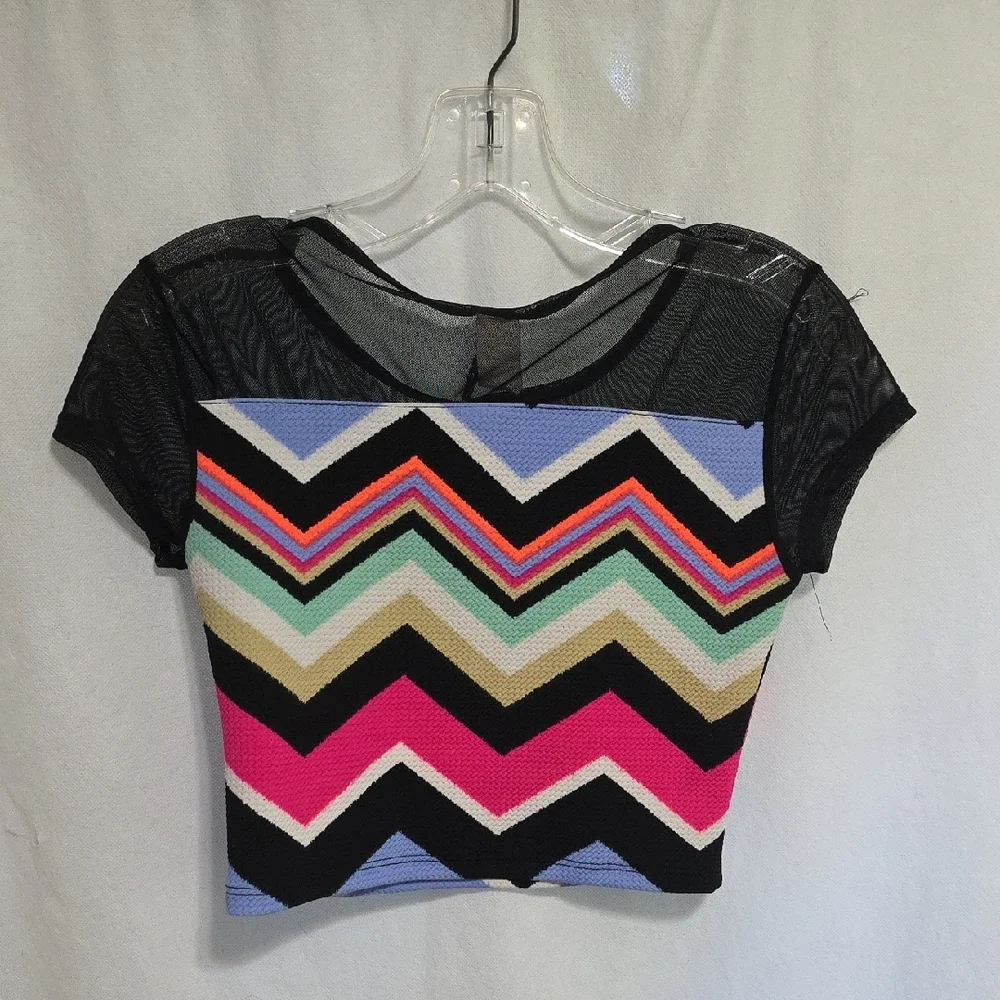 Discreet Multicolor Chevron Mesh Crop Top - Picture 5 of 6